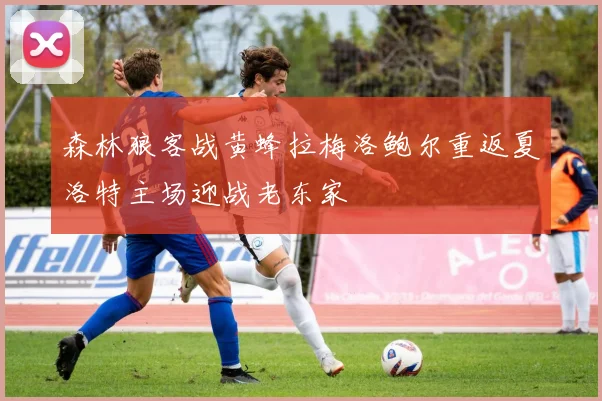 森林狼客战黄蜂拉梅洛鲍尔重返夏洛特主场迎战老东家