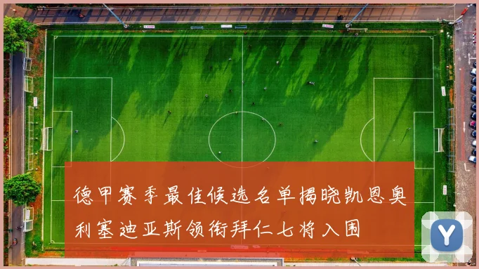 德甲赛季最佳候选名单揭晓凯恩奥利塞迪亚斯领衔拜仁七将入围